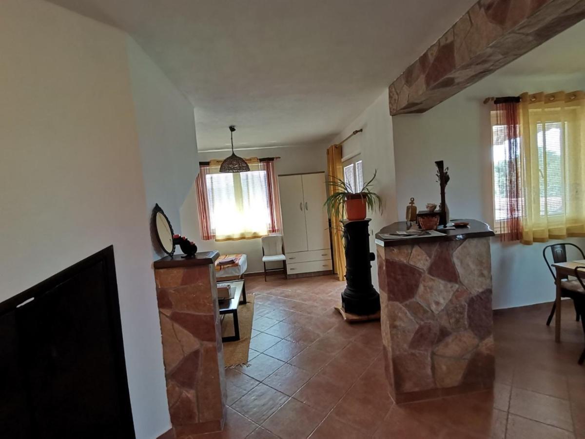 Apartments Vesna Nova Vas  المظهر الخارجي الصورة